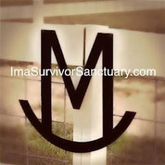 Ima Survivor Sanctuary net worth
