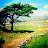 Pat McDonagh Avatar