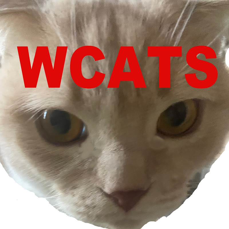ã‚¿ãƒ­ãƒƒãƒˆå� ã�„å¸«ãƒ» W Cats