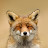 DeadlyVixen Avatar