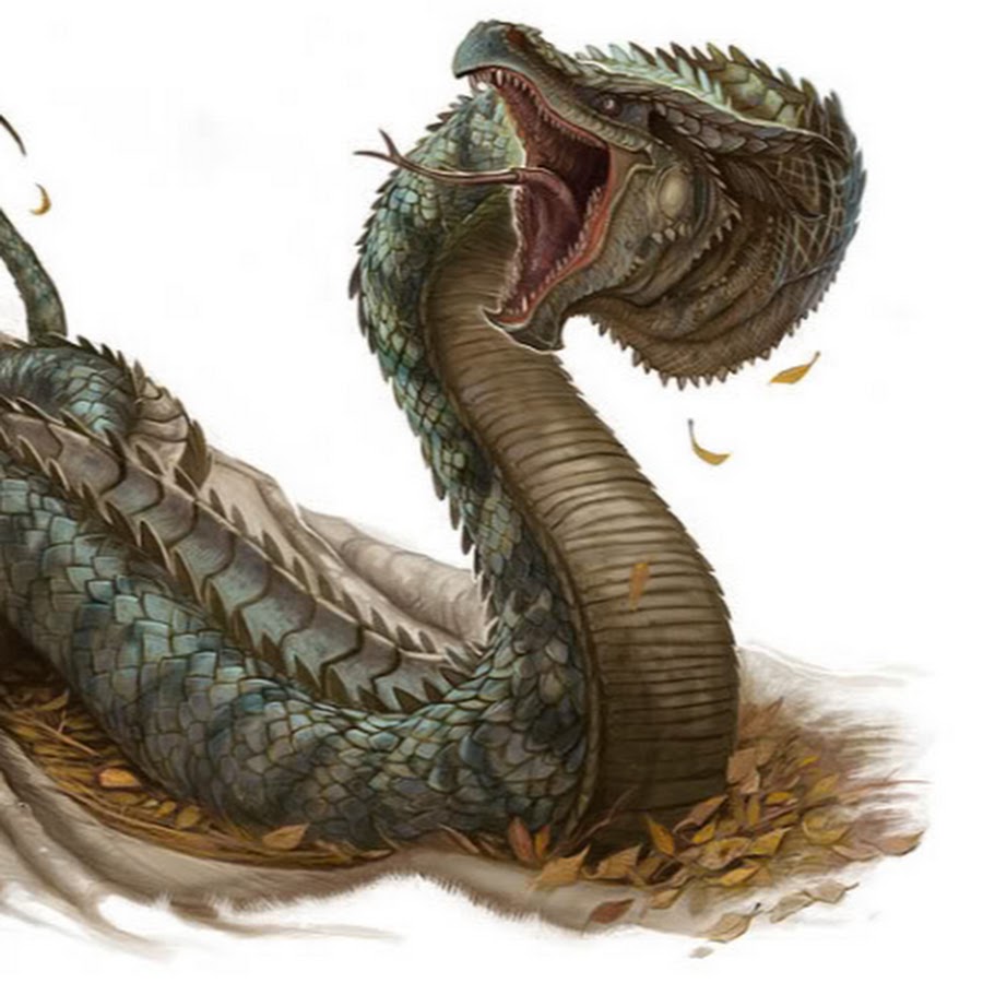 AMLnZu_Q2_LzZWGbmxlqQnuZFX99y98AlsEfPvB9P3Aq=s900ckc0x00ffffffnorj