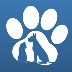 Paws Channel Channel icon