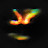 Light Hunter