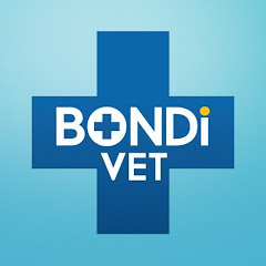 Bondi Vet Channel icon