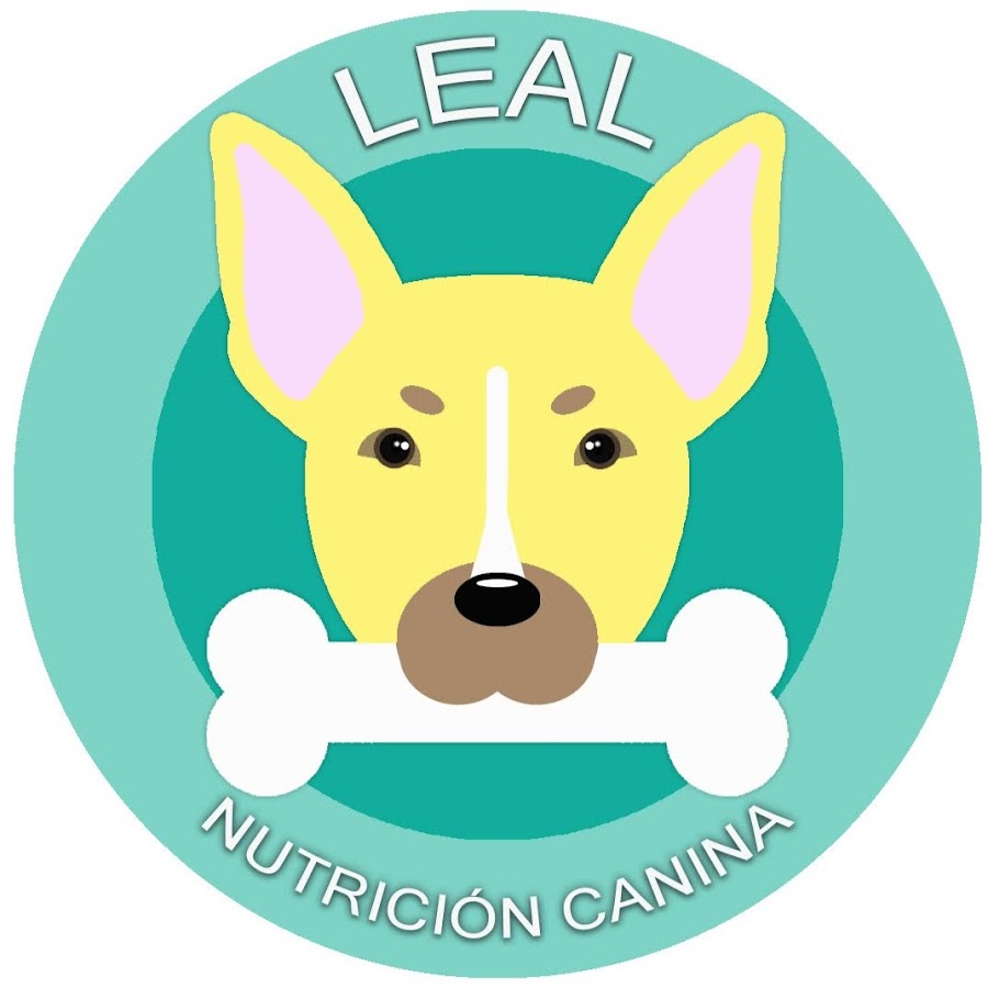 AMLnZu_R0vjs3XOjkt58894nubtNQi_sacQITOwL4J6kg=s900ckc0x00ffffffnorj