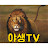 TV야생