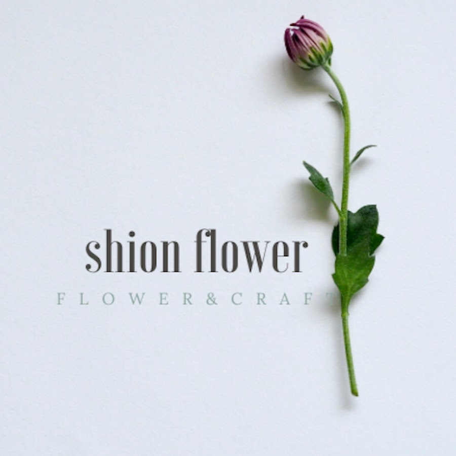紫苑花屋shion Flower Youtube