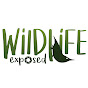 Wildlife Exposed TV YouTube Profile Photo