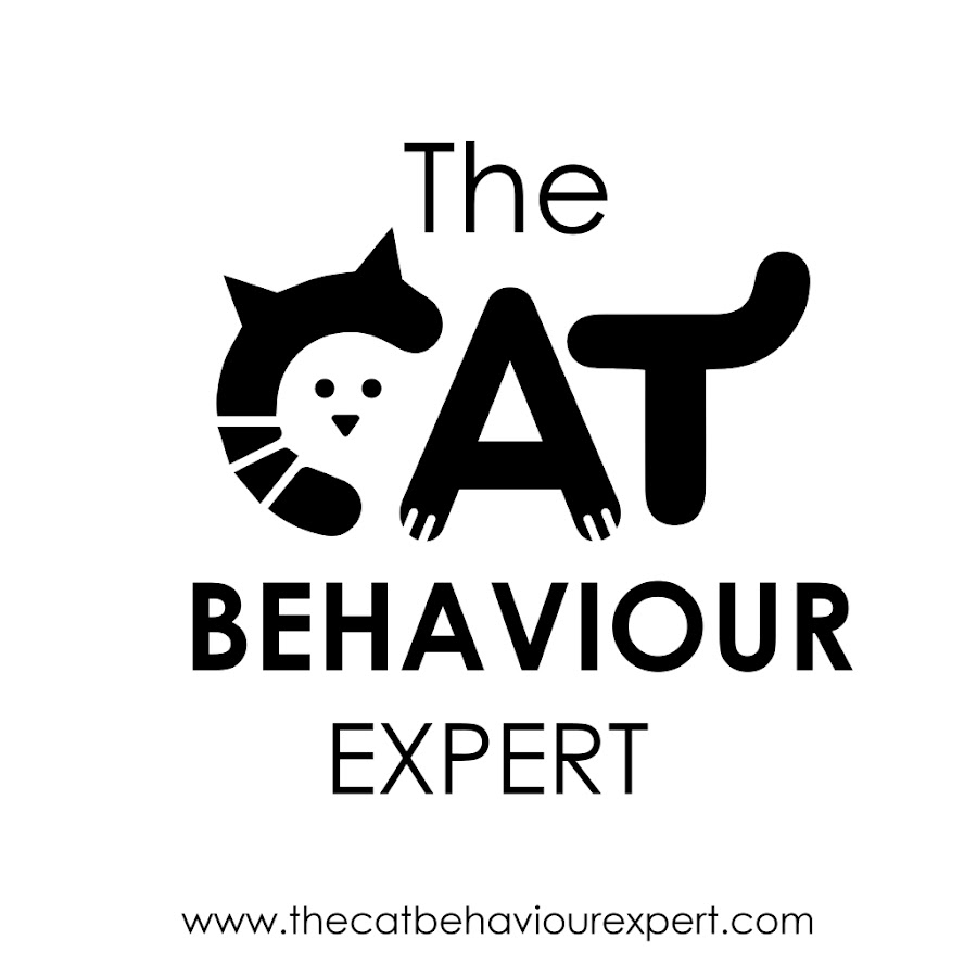 AMLnZu_Snxx6OpkQhBWKG_bM7qwQFtT1vUKa_s9G2bcm=s900ckc0x00ffffffnorj