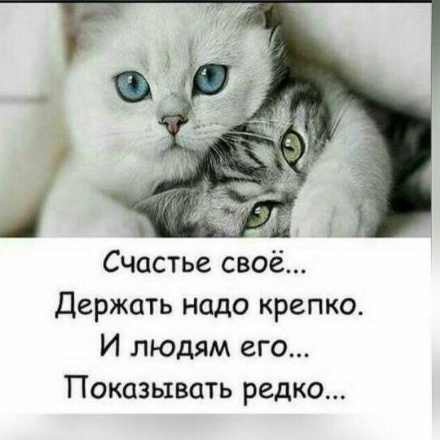 Счастье своё держать надо крепко и людям его показывать редко
