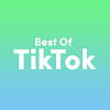 What could Best of TikTok buy with $192.96 thousand?
