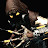 Scarecrow