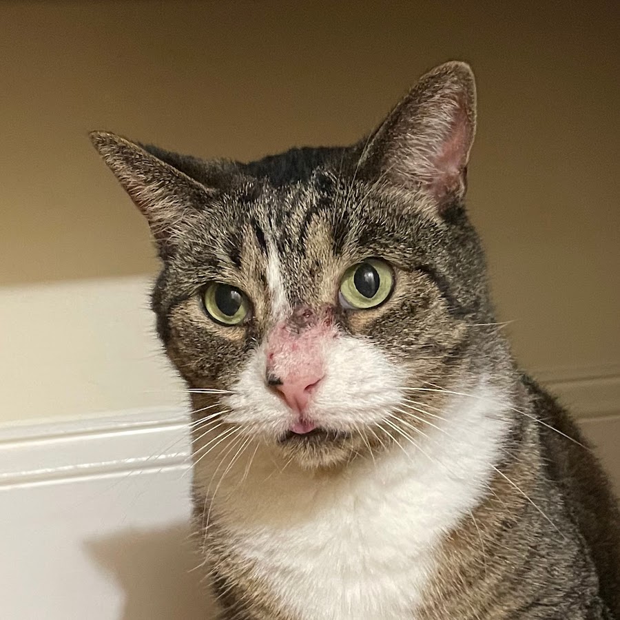 Как нарисовать milk