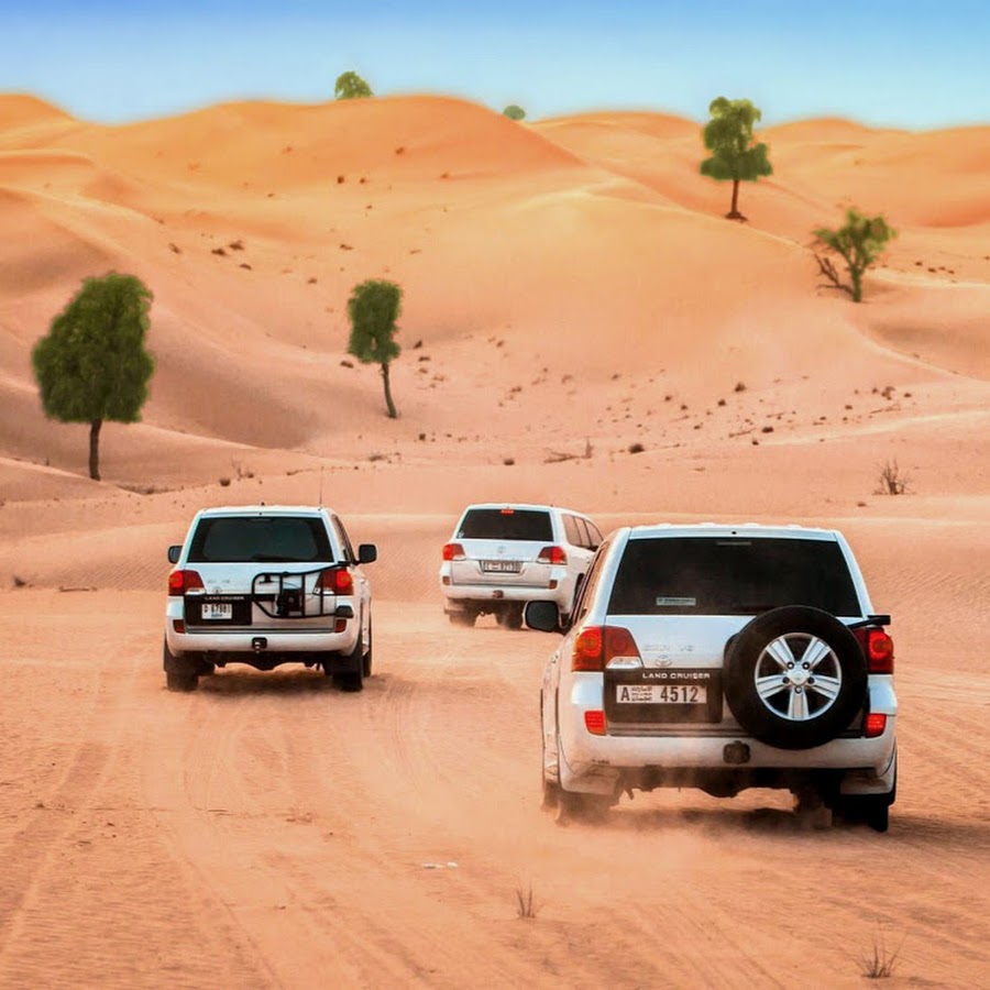 Инзе сафари. Кения сафари. Bengal jungle. Юар сафари. Кения сафари.