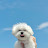 쭌쭌