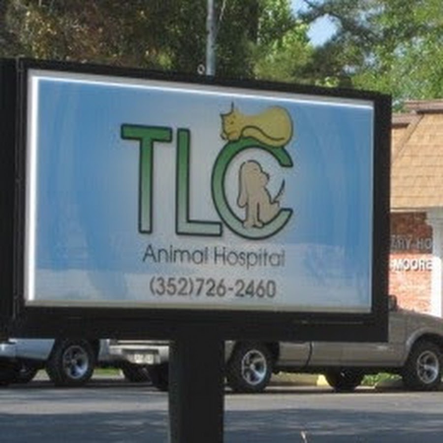 AMLnZu_XKn9kwZ0zGrN5uG8Z5qE5mBxJzK367_EixV28WQ=s900ckc0x00ffffffnorj