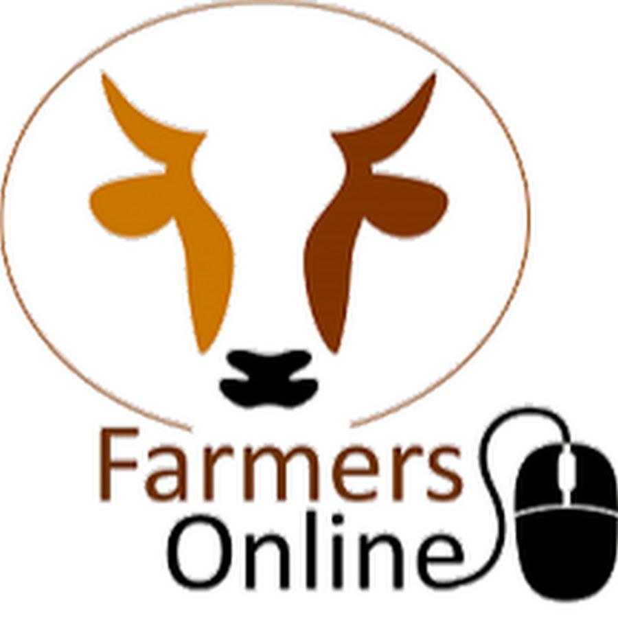 AMLnZu_XObT2SNpS2HjzM_mt9YomHTfq0tcLK_AHvd7u=s900ckc0x00ffffffnorj