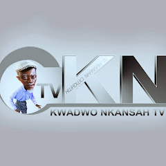 Kwadwo Nkansah TV net worth