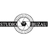 What could STUDIO M BUZAU by Dan Mardale buy with $100 thousand?