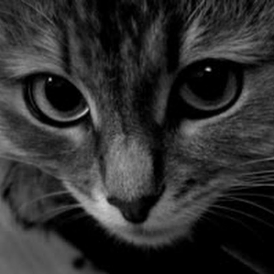 Рисунок 150 на 150 пикселей