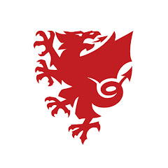 FA Wales Avatar