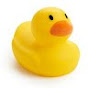 Duck - @howiebrn YouTube Profile Photo