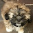 9094nancyj Avatar