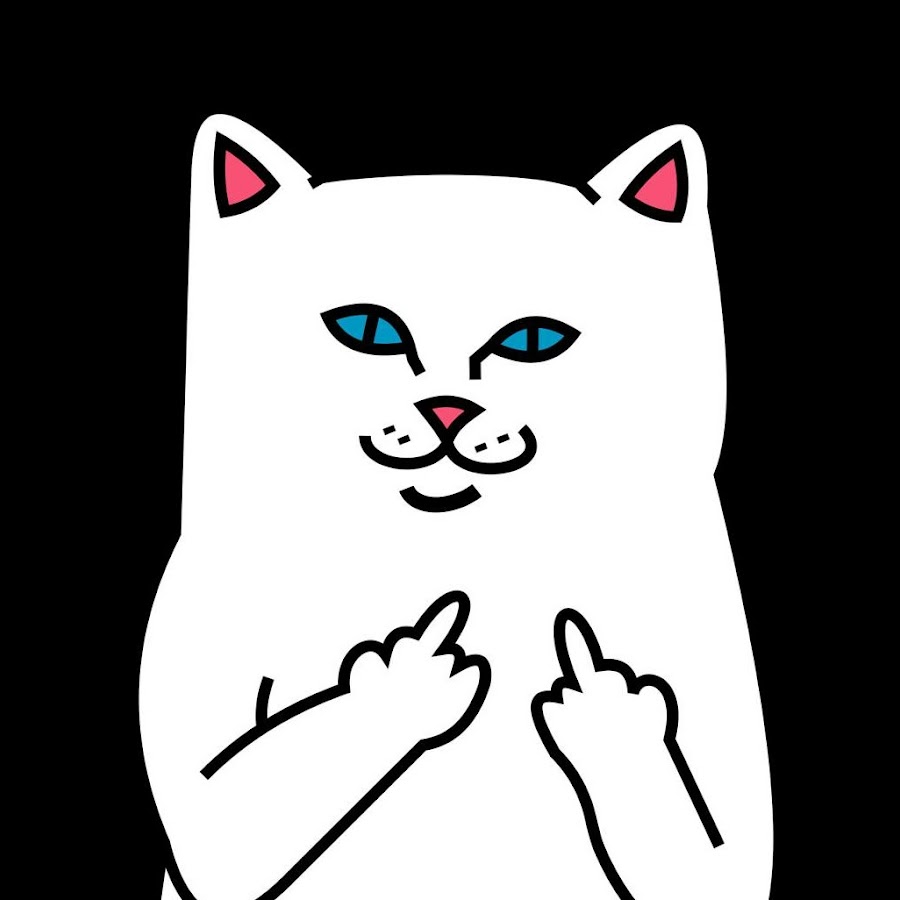 Кот с факом
