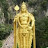 thiagarajan chetty Avatar