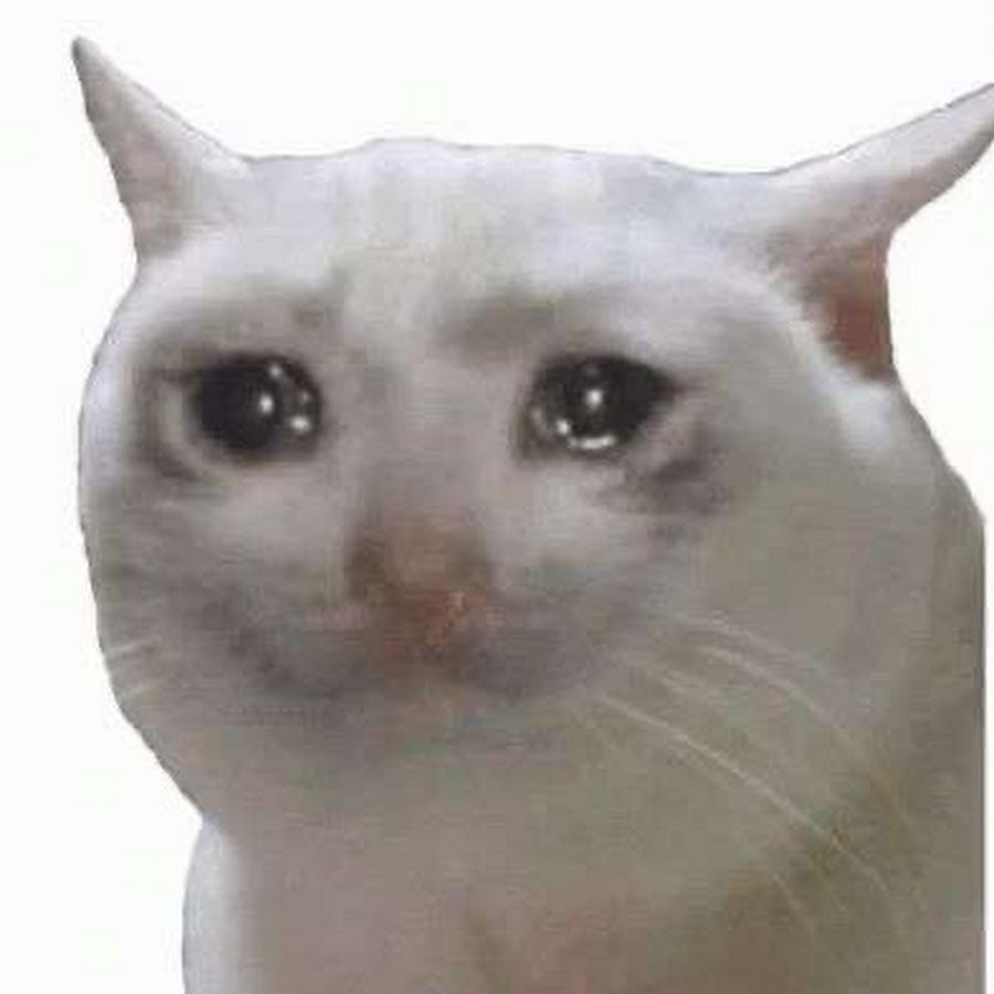 Плачущий кот Мем стикер