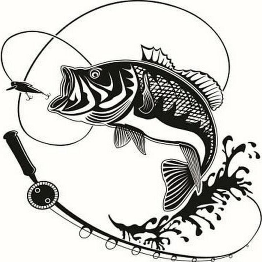 Судак векторный рисунок