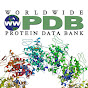 worldwide Protein Data Bank (wwPDB) YouTube Profile Photo