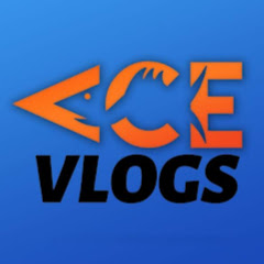 Ace Vlogs net worth