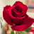 Amazing Grace Avatar