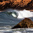 koloasurf2012 Avatar