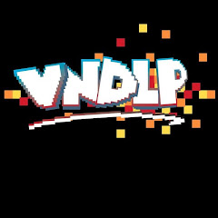 VNDLP net worth