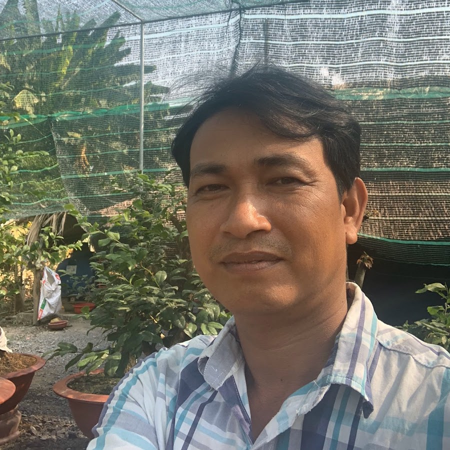 Hoàng Mai Tứ Quý Ghép - Youtube