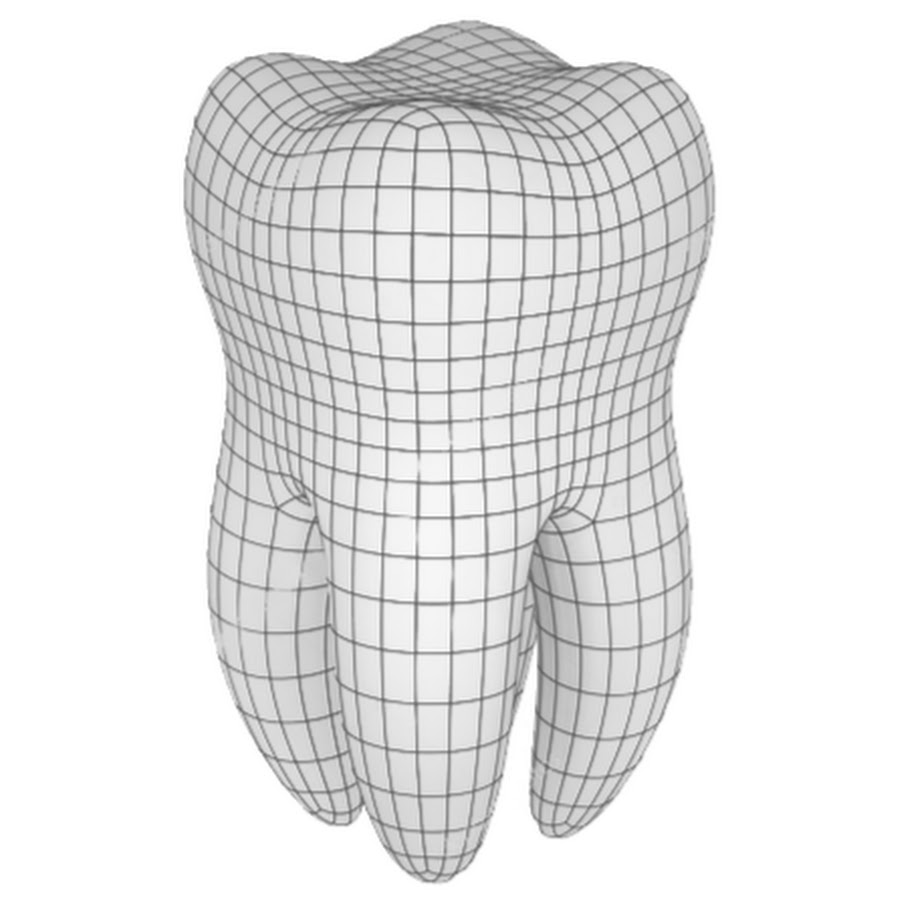 Зуб 3d модель сетка