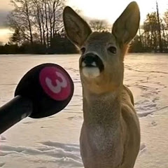 Thumbnail of related channel