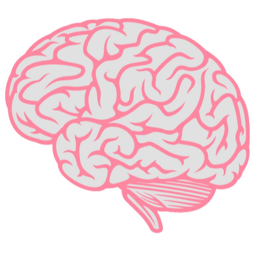 Brain pdf. Мозги пдф. Мозг красивый вектор. Мозг Графика. Маленький мозг.