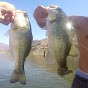 Fishing With Winks. YouTube Profile Photo