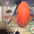 crazydavebacon1