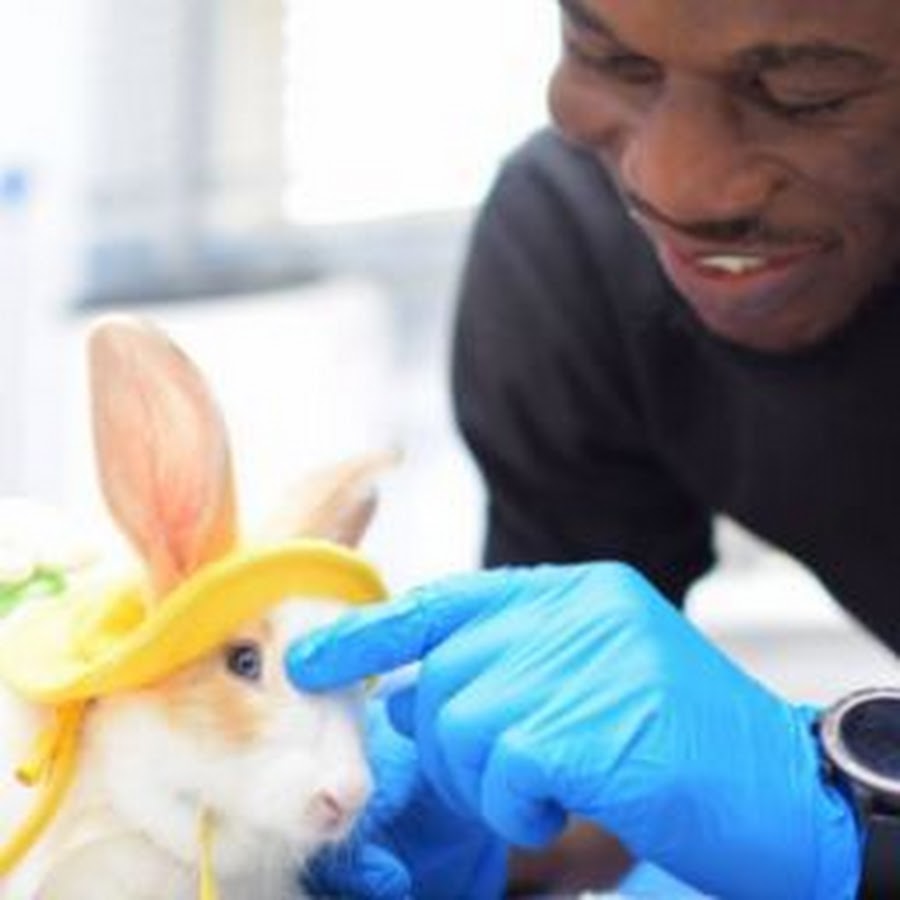 AMLnZu_ihAe8_iA48dAdoyCLiulM3vVyJVgzH2WeNMAzBg=s900ckc0x00ffffffnorj