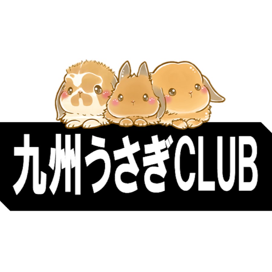アメリカンラビット専門店九州うさぎclub Youtube