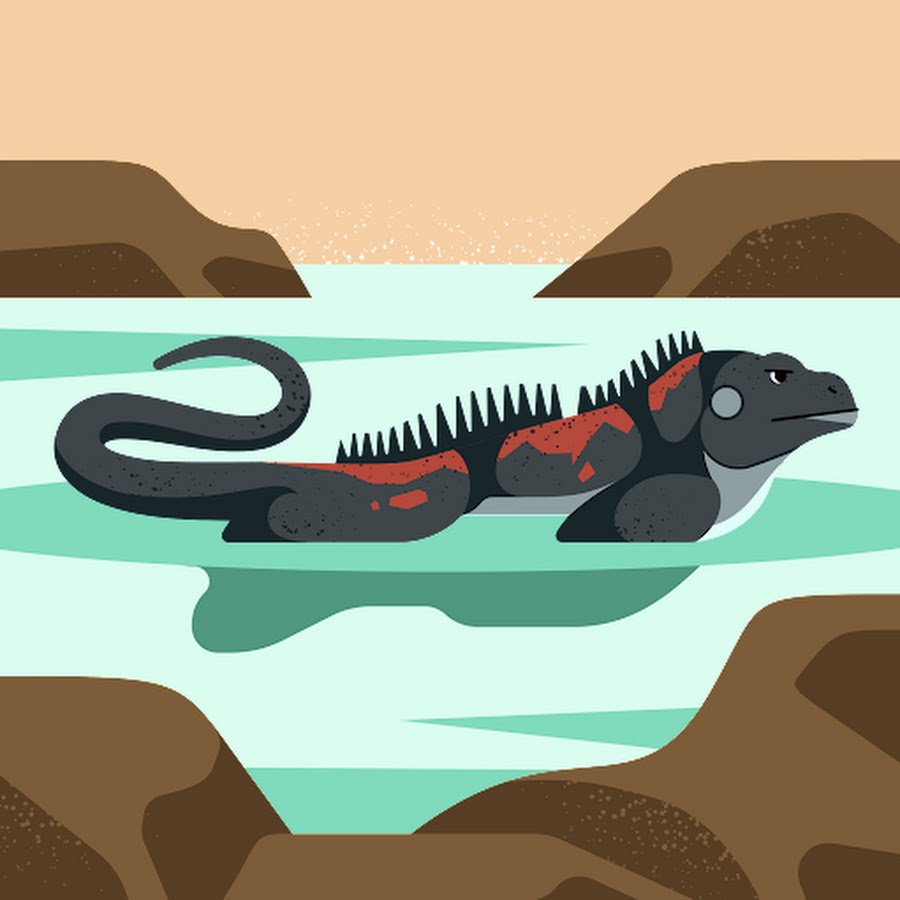 AMLnZu_jc4cagtAAK4KKC7yIl_zsriUXf_OobJ0NyzYg=s900ckc0x00ffffffnorj