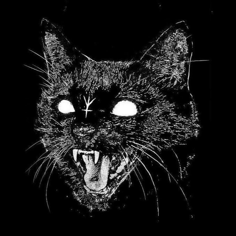 Зловещий черный кот