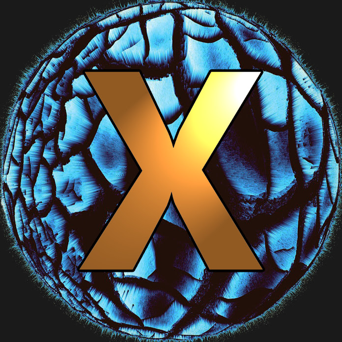 Xaine's World Net Worth & Earnings (2026)