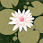 Violetta Avatar