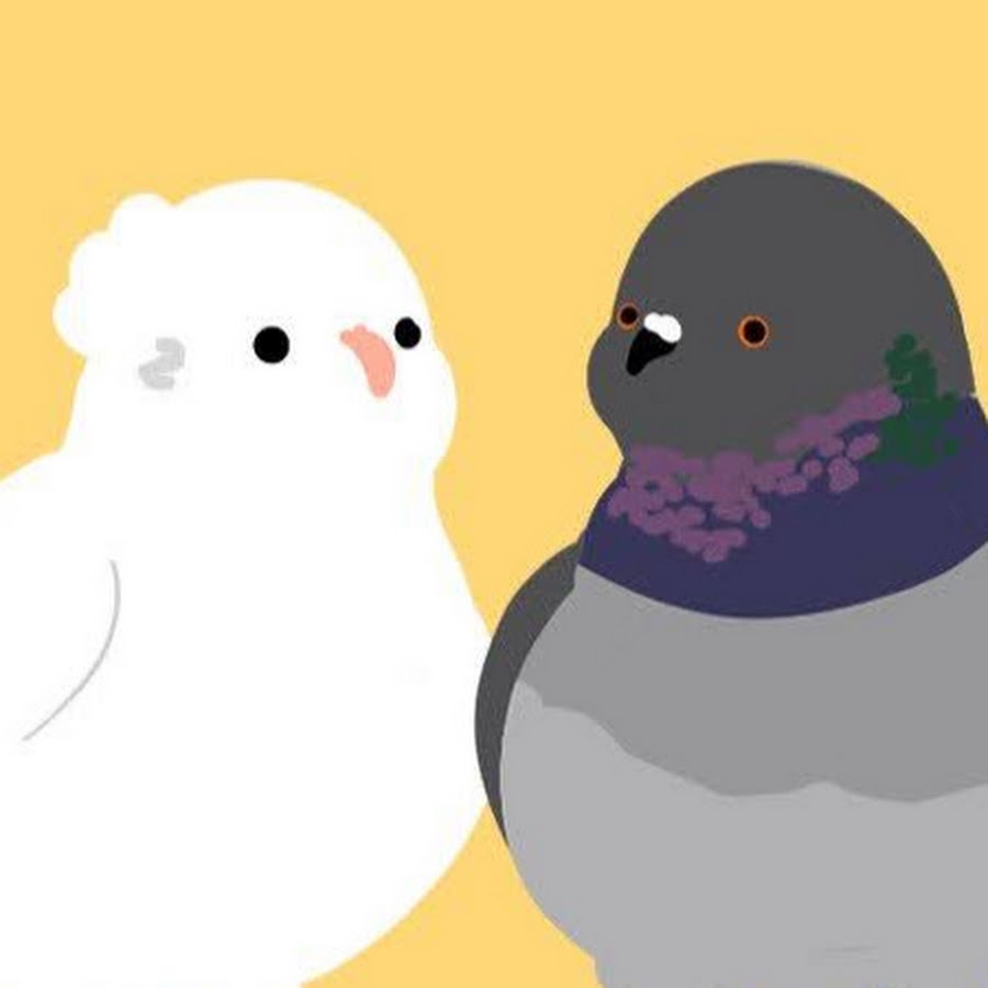 ハト日記 Youtube