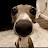 killz killz081 Avatar